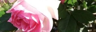 he10306516's profile banner image