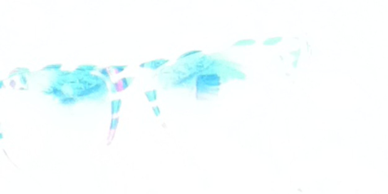 MsAdelheid's profile banner image