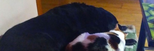 Jesusbt1 Profile Banner