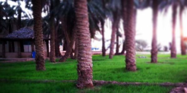 ialnofal's profile banner image