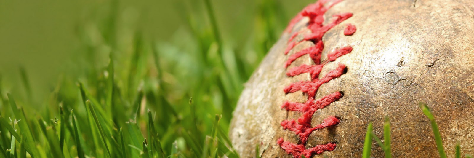 Dave Bedingfield banner