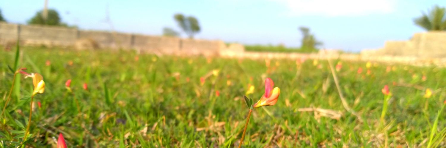 SSKhanPTI's profile banner image