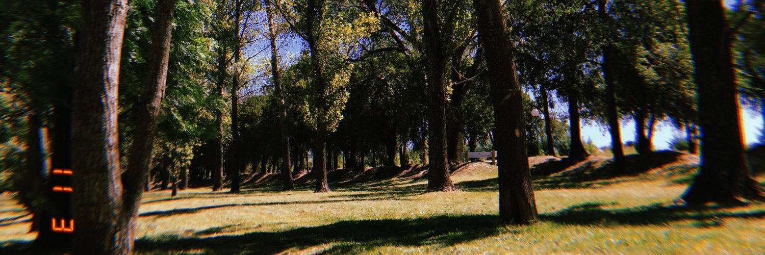 flormartinez25's profile banner image