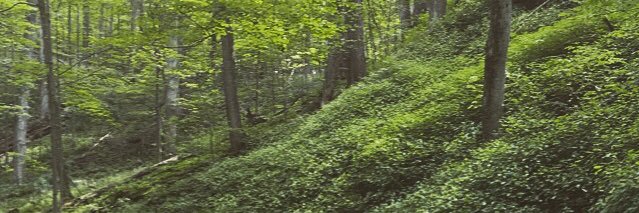 JMHammar's profile banner image