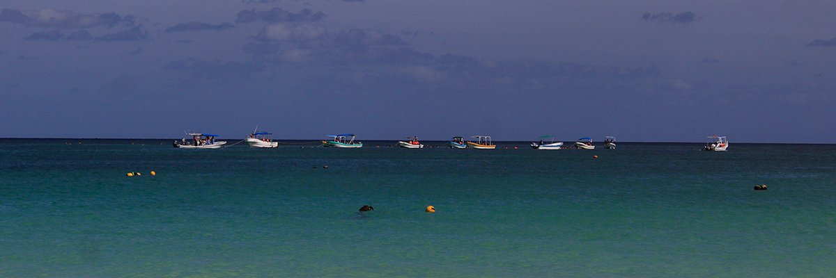 aleespazx's profile banner image