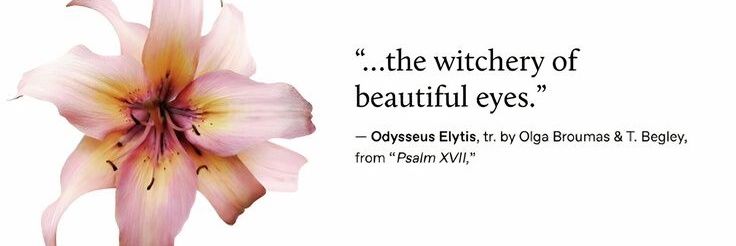 moccadoo's promosi banner