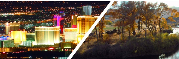 Growth & Opportunity banner