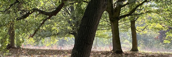 dianamahon Profile Banner