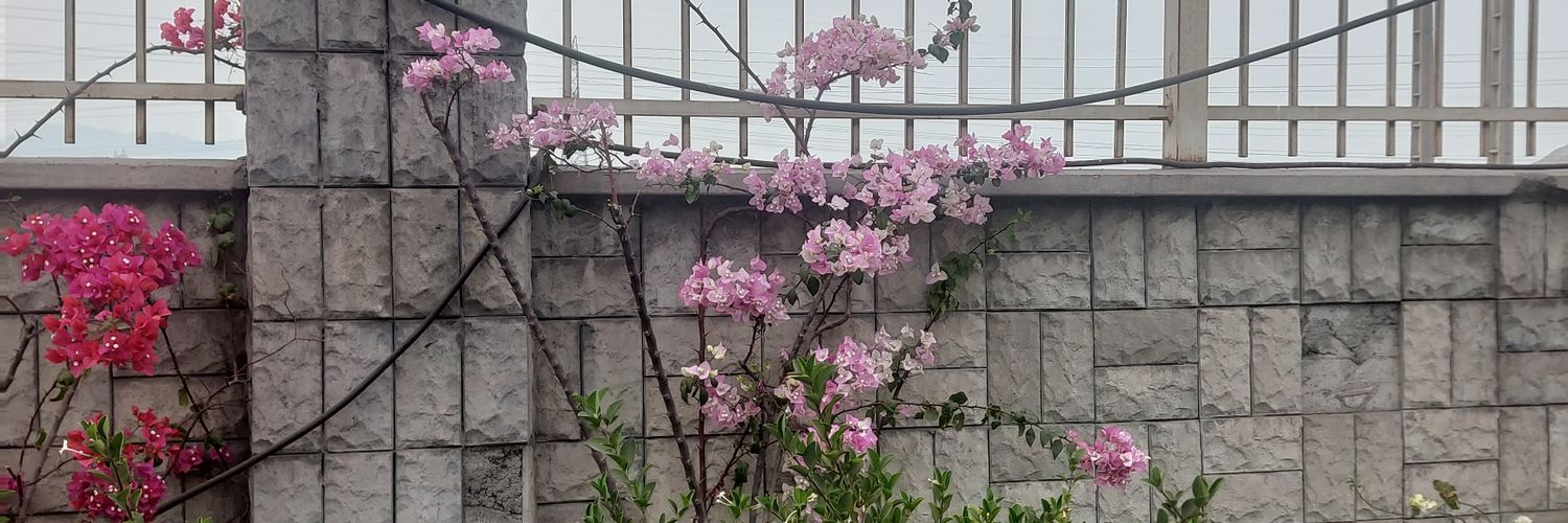 abittersoull's profile banner image