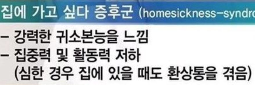 경옥's banner