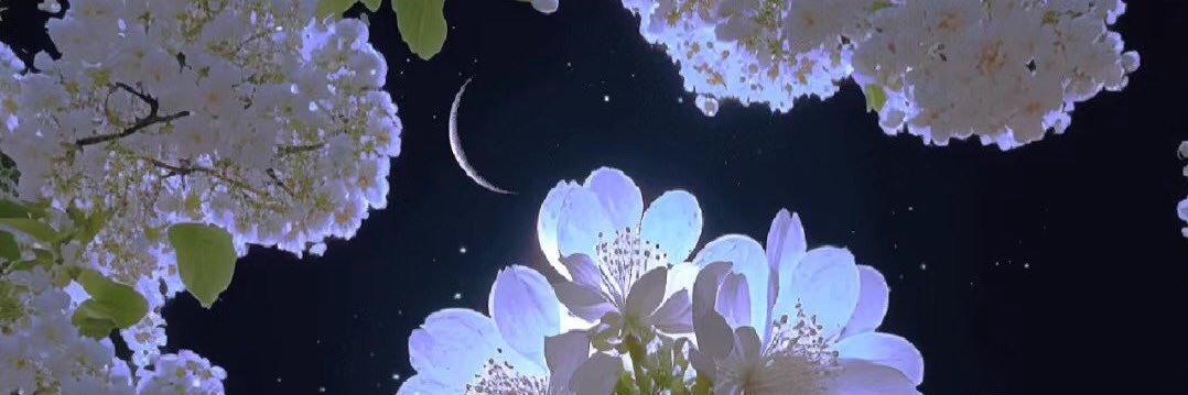 kandee21's profile banner image