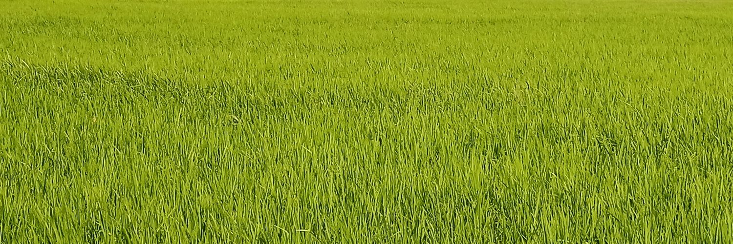 Mukuria banner