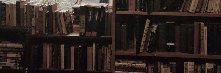 driedlnk's profile banner image
