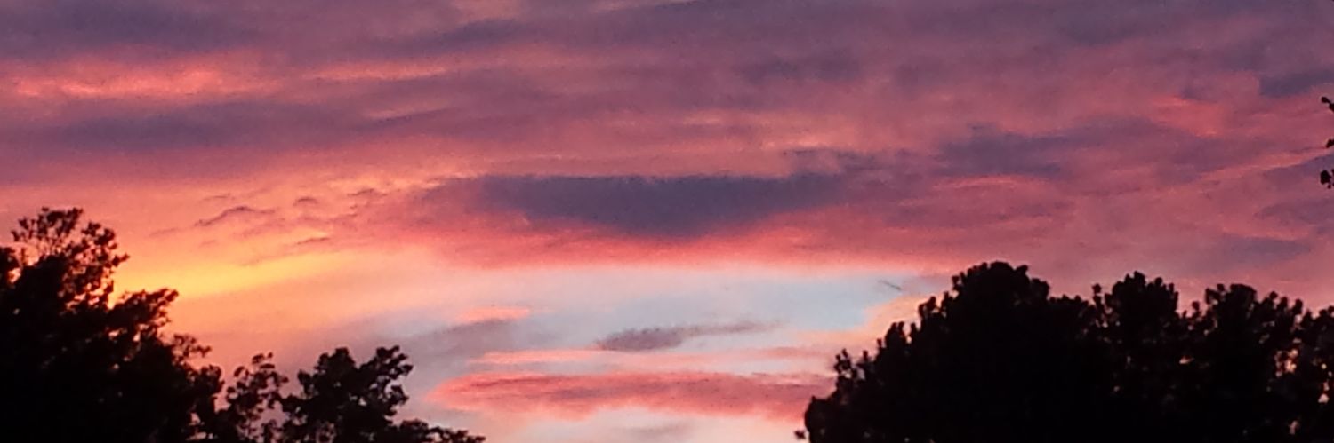 AJLewisga's profile banner image