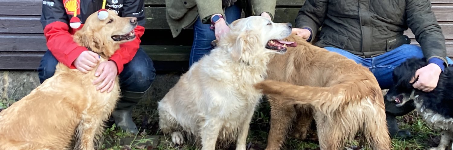 Battendogs's profile banner image