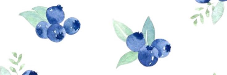 berry banner