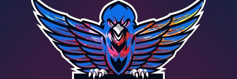 IDieGaming's profile banner image