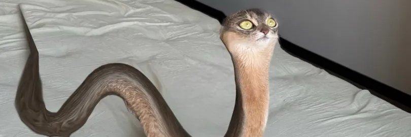 M8 PobyKing $BLIPO TO THE MOON 🚀🚀🚀 banner