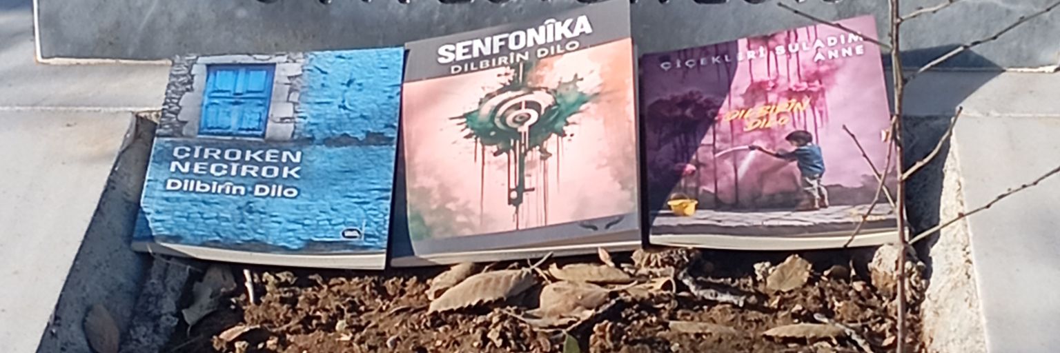 Dilbirîn Dilo banner
