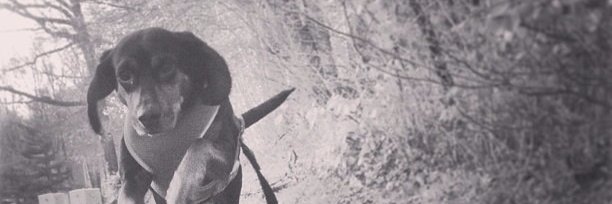 yooidesign's profile banner image