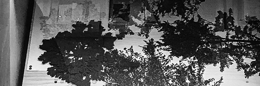 Fernanda Echevarría Del Rivero banner