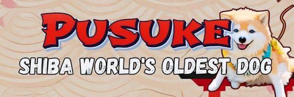 Worlds Oldest Shiba banner