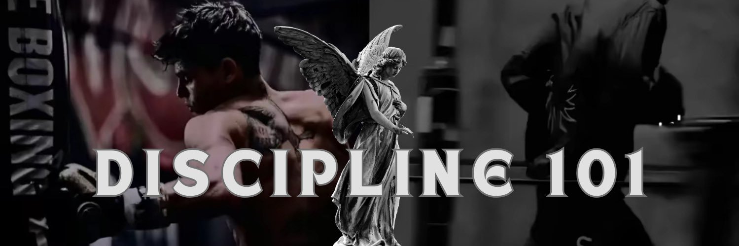 Discipline101's banner