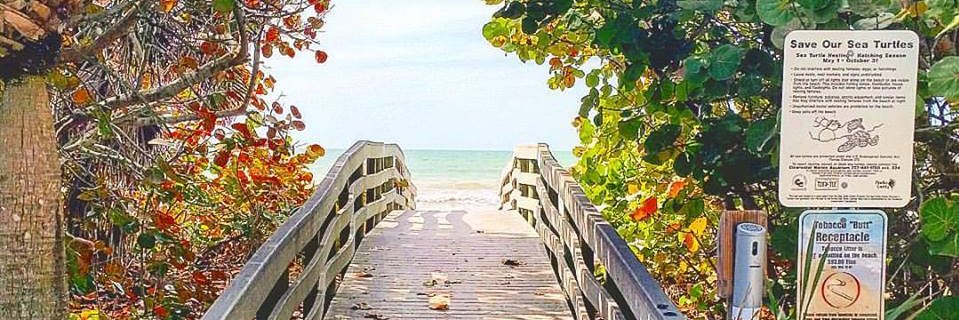 RandyRoubaix's profile banner image