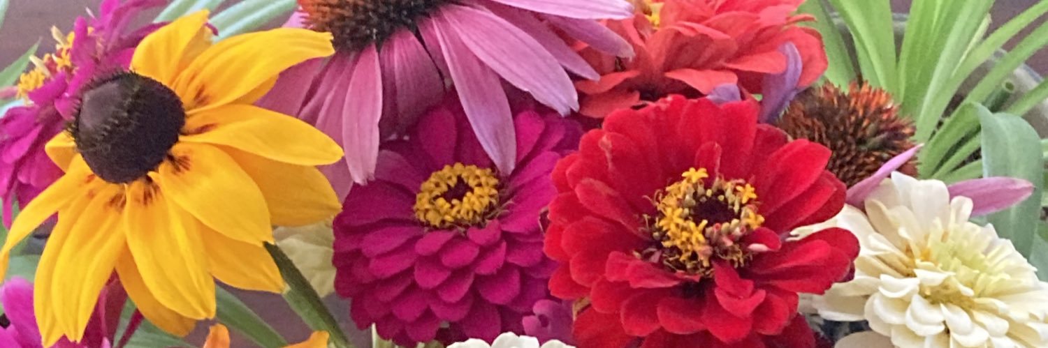 LisaMinaker's profile banner image