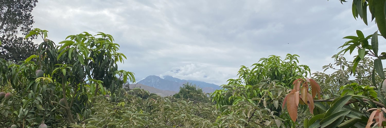 wilsonTR25's profile banner image