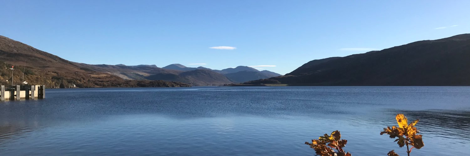 moira_forsyth's profile banner image
