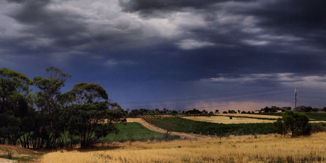 davidFranzwine's profile banner image