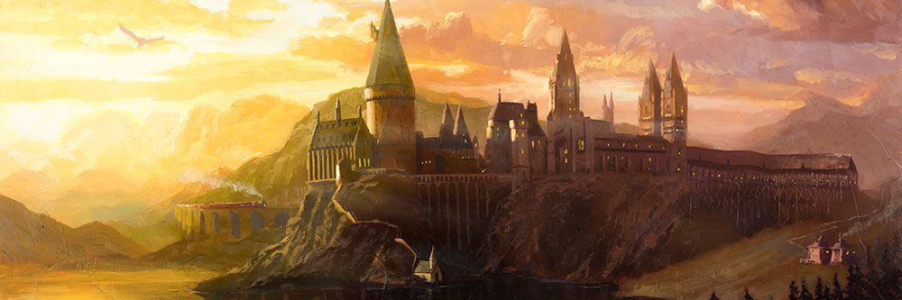 javierpermed's profile banner image