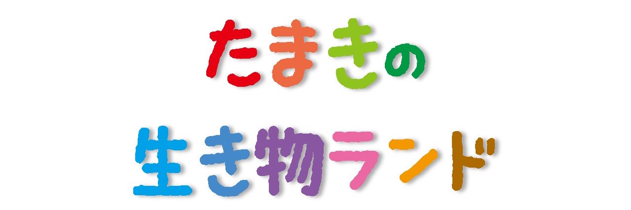 脇 たまき banner
