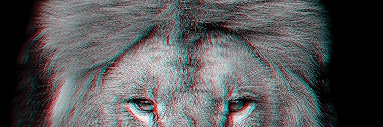 Tyler Reggio banner