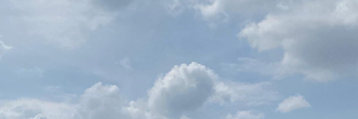 Panda 🐼 banner