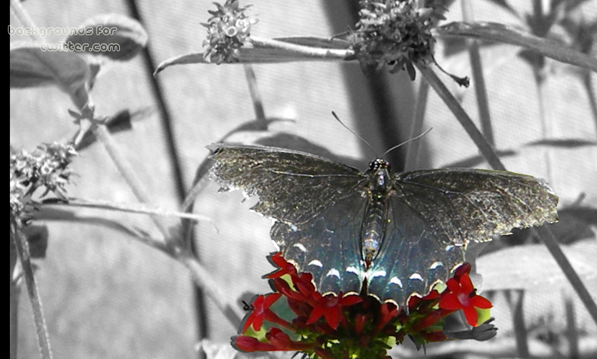 bertamillan494's profile banner image