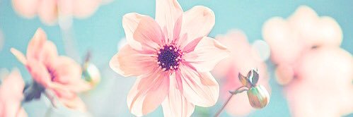 DaniielaN's profile banner image