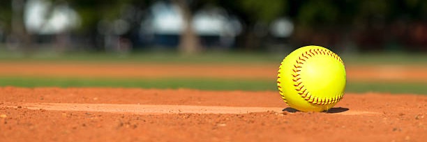 Fastpitch Wire's banner
