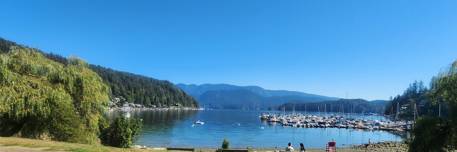 Alejandro Zayas banner