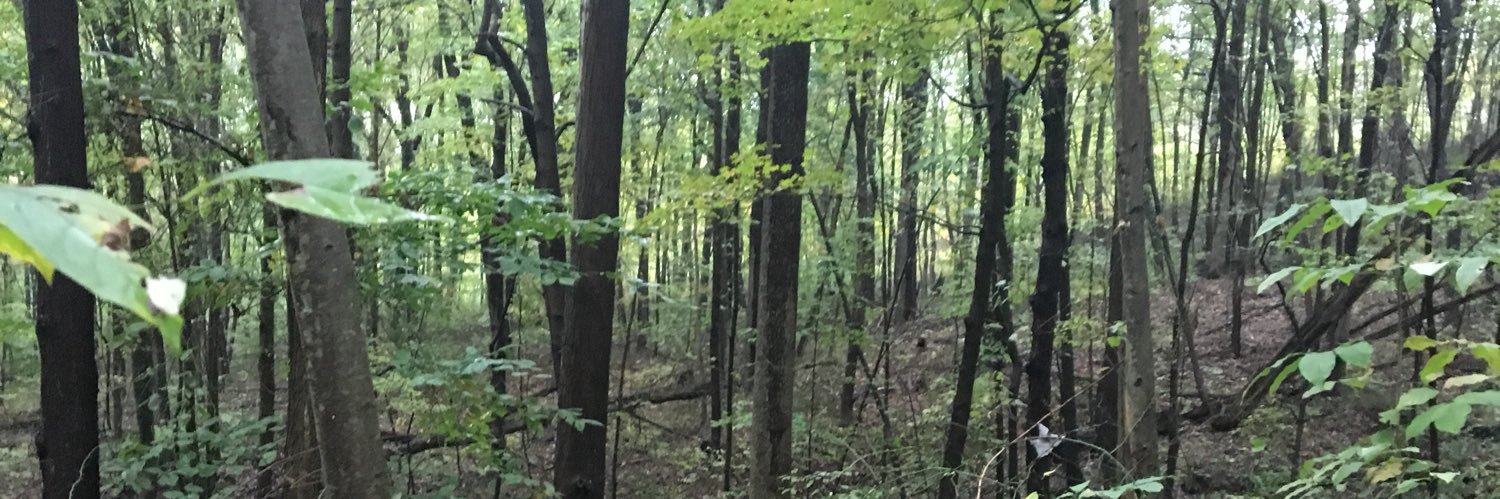jamespyne13's profile banner image