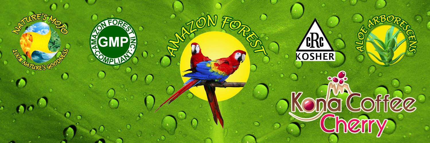AmazonForestInc's profile banner image