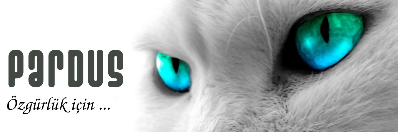 yunus_diril's profile banner image