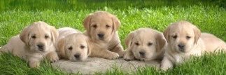 _mingmung64's profile banner image
