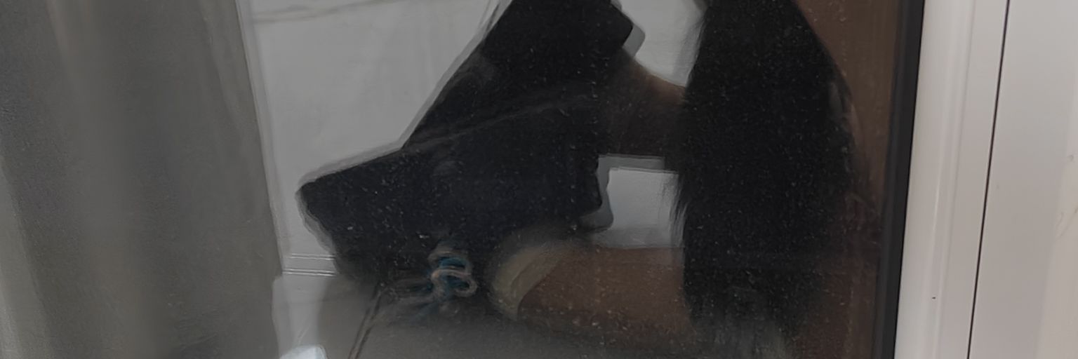 花花气泡水🫧 banner