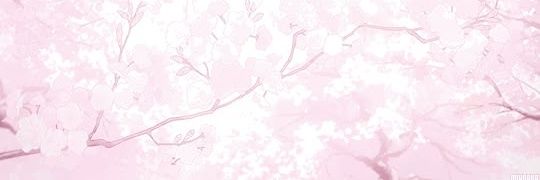 ♡ kitty banner