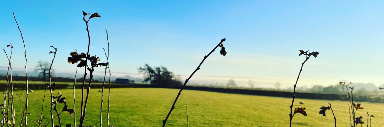 dehaigh7's profile banner image