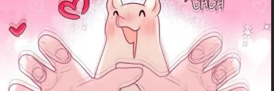 gelequinhaa's profile banner image