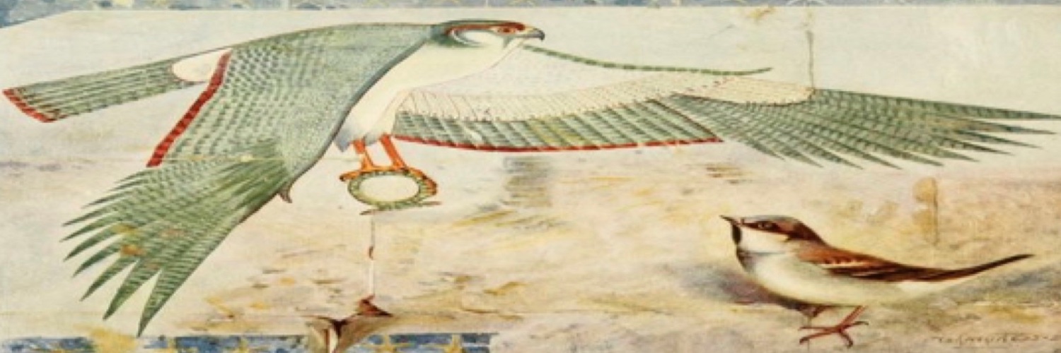 wbaseem's profile banner image