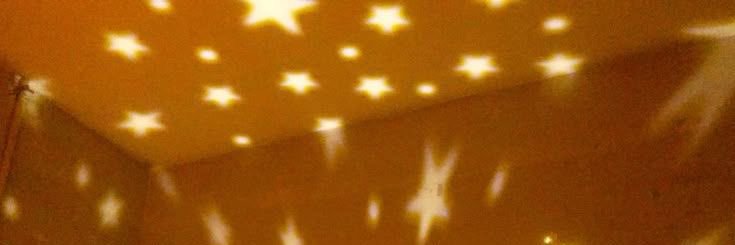 dani's banner